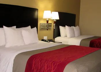 Quality Inn & Suites Lubbock South hotel thumbnail 8