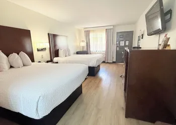 Ramada by Wyndham San Antonio Near SeaWorld/Lackland AFB hotel thumbnail 8