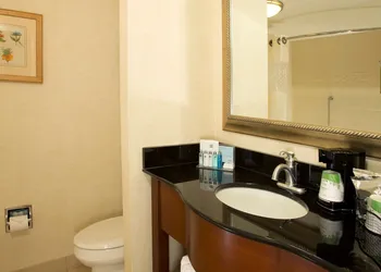 Hampton Inn Alexandria/Pentagon South hotel thumbnail 5