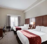 Comfort Suites Suffolk - Chesapeake hotel detail image 4