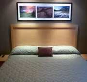 Woodlands Inn & Suites hotel detail image 5