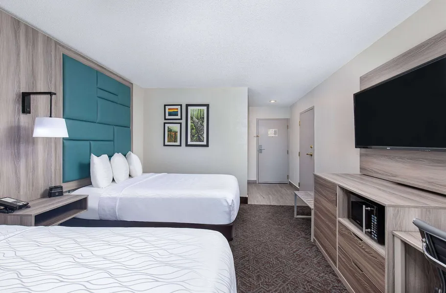 La Quinta Inn & Suites by Wyndham Pigeon Forge-Dollywood hotel detail image 6