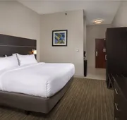 Holiday Inn Express Hotel & Suites Independence-Kansas City by IHG hotel detail image 4