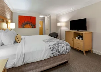 Best Western Plus University Inn hotel thumbnail 6