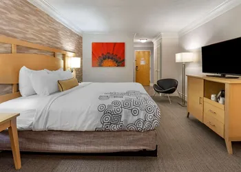 Best Western Plus University Inn hotel thumbnail 7