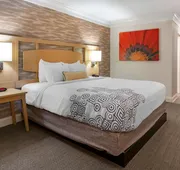 Best Western Plus University Inn hotel detail image 5