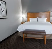 Hampton Inn & Suites Chesapeake-Square Mall hotel detail image 7