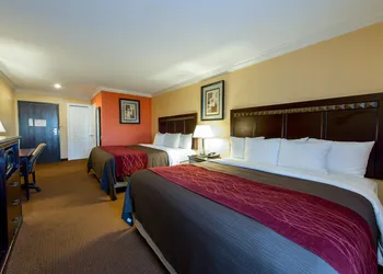 Quality Inn & Suites Bell Gardens - Los Angeles hotel thumbnail 5