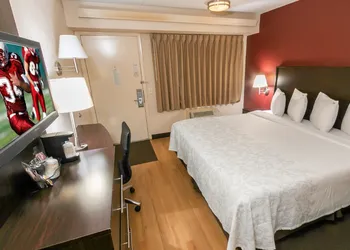Red Roof Inn PLUS+ Chicago - Willowbrook hotel thumbnail 7