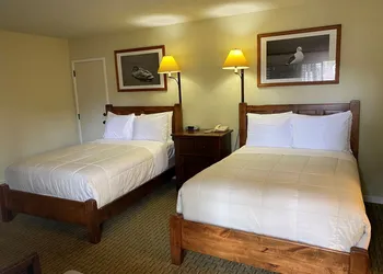 Olympia Lodge hotel thumbnail 5