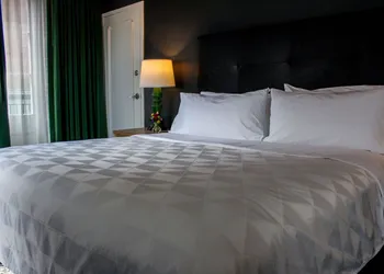 Holiday Inn FRENCH QUARTER-CHATEAU LEMOYNE by IHG hotel thumbnail 8