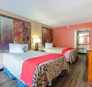 Day lite inn hotel detail image 7