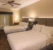 Holiday Inn Trophy Club by IHG hotel detail image 3