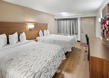 Red Roof Inn PLUS+ Columbus-Ohio State University OSU hotel thumbnail 7