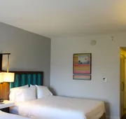 Hampton Inn & Suites Sarasota/Bradenton-Airport, FL hotel detail image 7