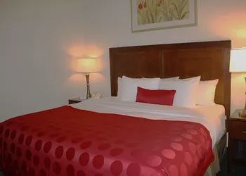 Ramada by Wyndham Denver International Airport hotel thumbnail 8