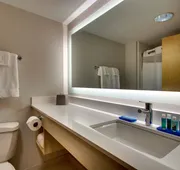 Holiday Inn Express & Suites - Interstate 380 at 33rd Avenue by IHG hotel detail image 7
