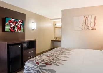 Red Roof Inn Tupelo hotel thumbnail 7