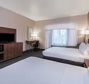 Holiday Inn Express Hotel & Suites Pharr by IHG hotel detail image 7
