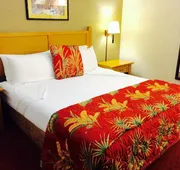Caliente Tropics Hotel hotel detail image 3