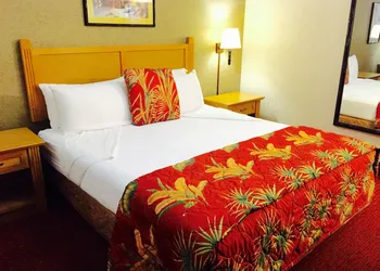 Caliente Tropics Hotel hotel thumbnail 3