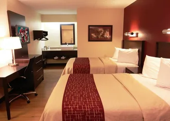 Red Roof Inn PLUS+ Philadelphia Airport hotel thumbnail 3