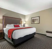 Best Western Plus Ramkota Hotel hotel detail image 7