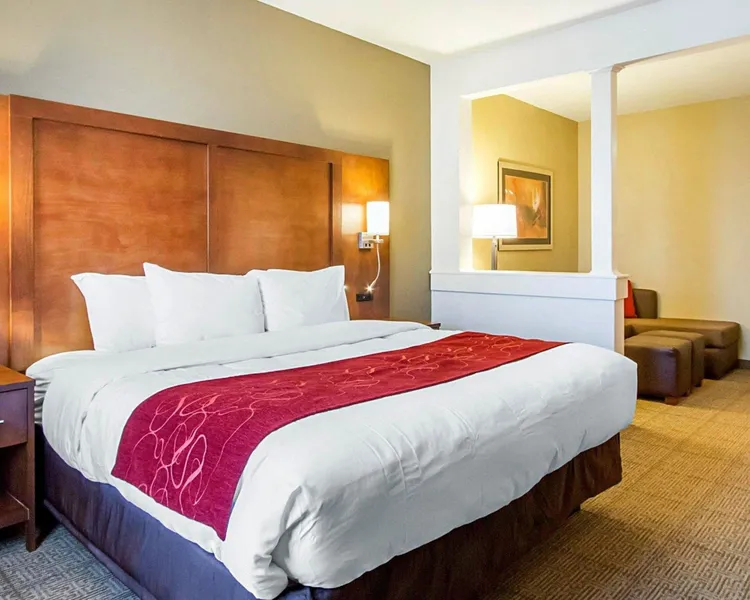 Comfort Suites hotel detail image 6