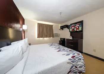 Red Roof Inn Jacksonville - Cruise Port hotel thumbnail 5