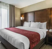 Comfort Suites Dunnellon near Rainbow Springs hotel detail image 7