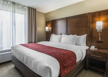 Comfort Suites Dunnellon near Rainbow Springs hotel thumbnail 7