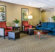 Comfort Suites Wixom - Novi hotel detail image 5
