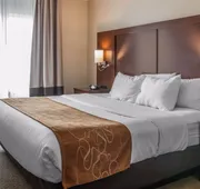 Comfort Suites Wixom - Novi hotel detail image 7