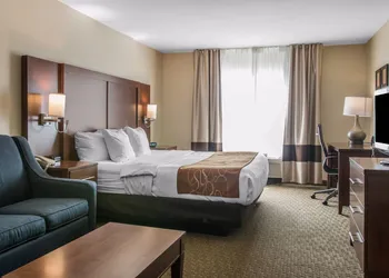 Comfort Suites Wixom - Novi hotel thumbnail 8