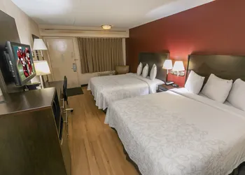 Red Roof Inn PLUS+ Ann Arbor - U of Michigan North hotel thumbnail 4