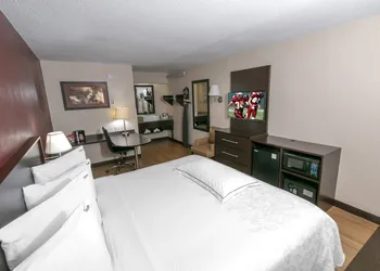 Red Roof Inn PLUS+ Ann Arbor - U of Michigan North hotel thumbnail 5