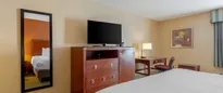 Hotel thumbnail 5