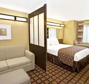 Microtel Inn & Suites by Wyndham Cartersville hotel detail image 4