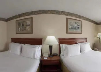 Holiday Inn Express & Suites Forest by IHG hotel thumbnail 6
