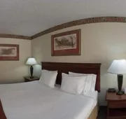 Holiday Inn Express & Suites Forest by IHG hotel detail image 7
