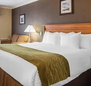 Comfort Inn Brockville hotel detail image 7