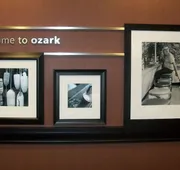 Hampton Inn Ozark hotel detail image 4