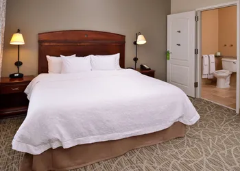Hampton Inn by Hilton Litchfield hotel thumbnail 6
