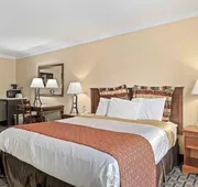 Lemon Tree Hotel & Suites Anaheim hotel detail image 5