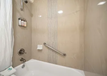 Lemon Tree Hotel & Suites Anaheim hotel thumbnail 8