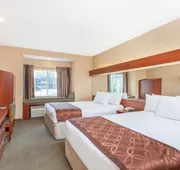 Microtel Inn & Suites by Wyndham Rogers hotel detail image 4