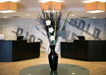 DoubleTree by Hilton Minneapolis - Park Place hotel thumbnail 4