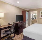 Best Western Plus Orchid Hotel & Suites hotel detail image 7