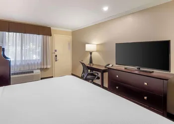 Best Western Plus Orchid Hotel & Suites hotel thumbnail 8