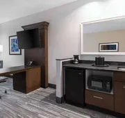 Hampton Inn & Suites Denver Downtown-Convention Center hotel detail image 7